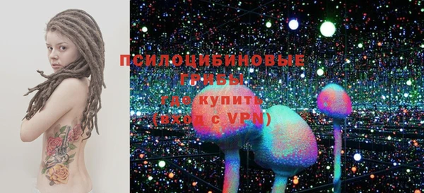 тгк Алексин