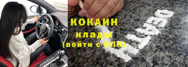 тгк Алексин